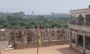 IMG_20241109_100919_354